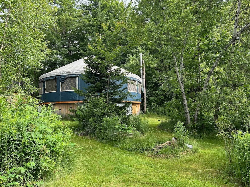 Nestled in the woods!
