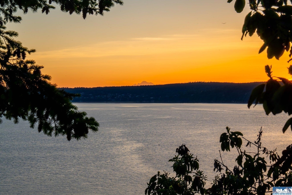 398 Daisey King Rd, Sequim, WA 98382 - photo 1