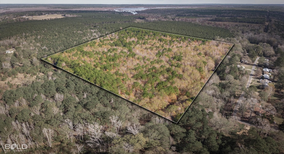 0 Camelia St, Vivian, LA 71082 - photo 1