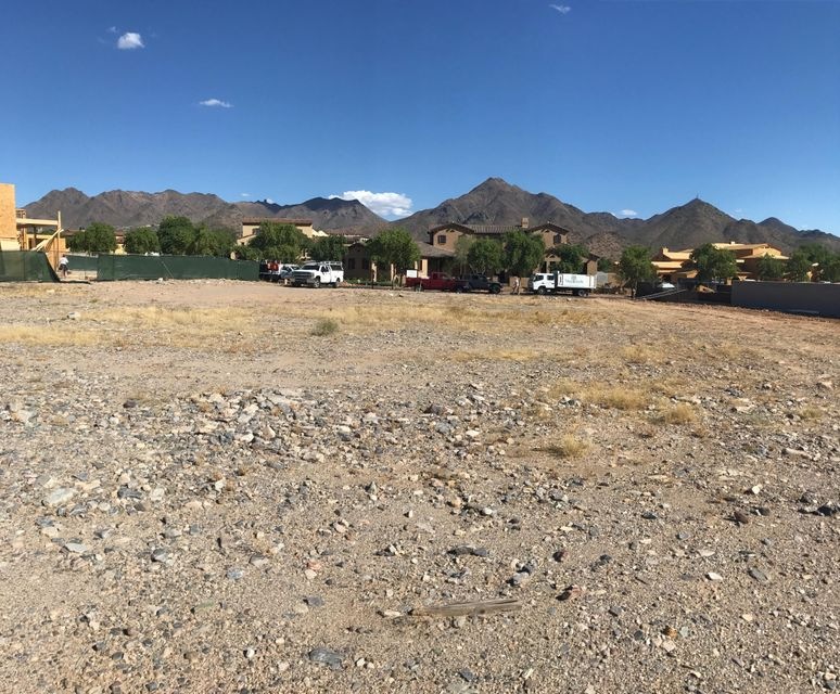 Silverleaf 3697