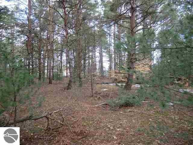 0 Brook Ave unit 1785391, Kaleva, MI 49645 - photo 1