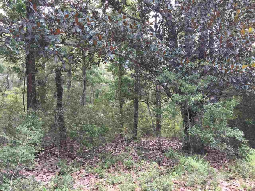 0 Whippoorwill Ln unit 296266, Crawfordville, FL 32327 - photo 1