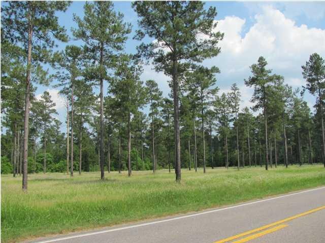 0 Wilmer Rd unit 506589, Wilmer, AL 36507 - photo 1