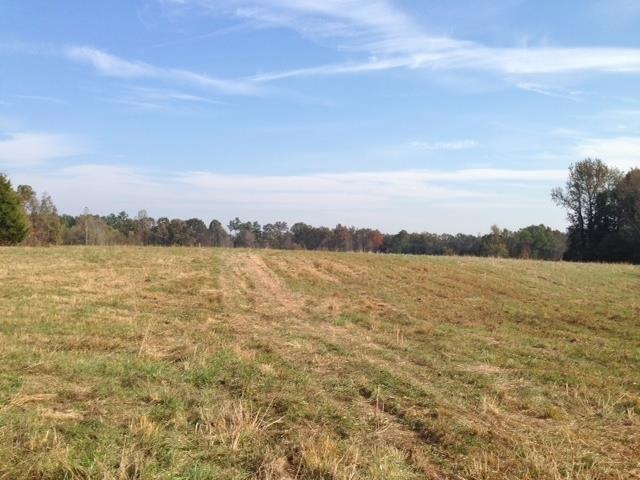 3770 Pollard Rd, Walling, TN 38587 - photo 1