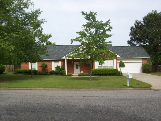 Main View