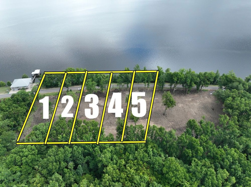 0 Hwy 3102 unit LotWP004 24147751, Jonesville, LA 71340 - photo 1