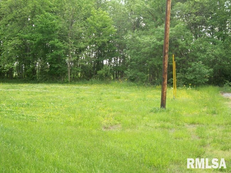 1813 W Chestnut St, Harrisburg, IL 62946 - photo 1