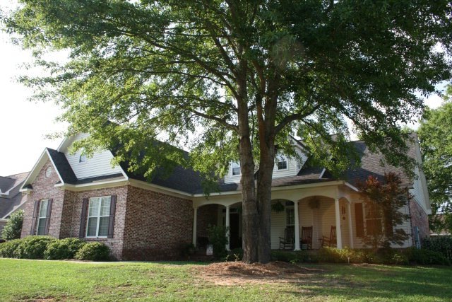 Main View