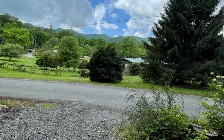 Main View