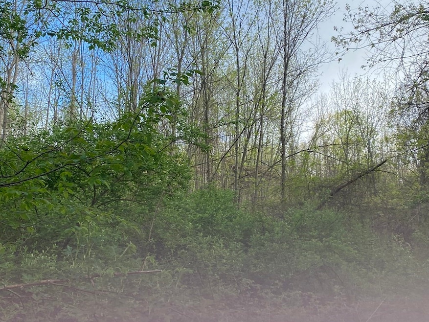 Lot 36 Oneill Rd, Warren, MA 01083 - photo 1