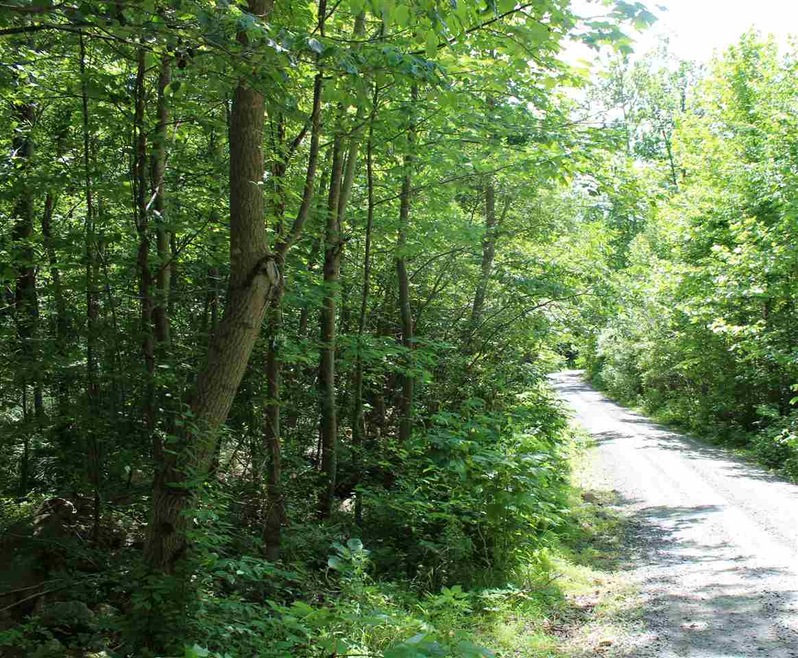 Sec 2Lots 8 & 9 Circle Rd, Stanardsville, VA 22973 - photo 1