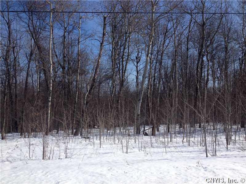 Land/Lot. 3.16 Acres ... Great affordable building