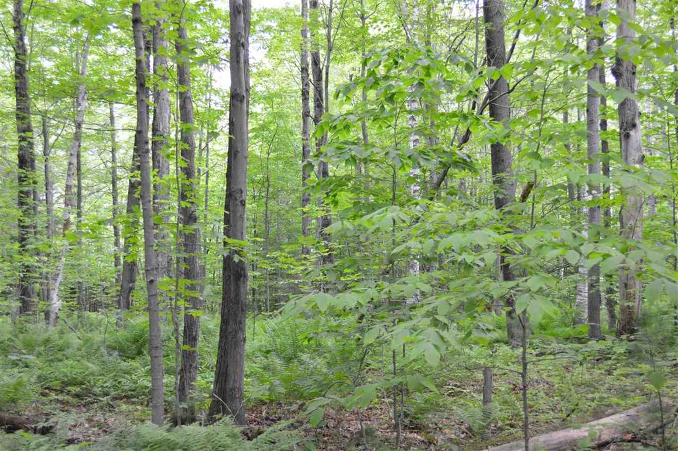 1 Durgin Rd, Tuftonboro, NH 03816 - photo 1