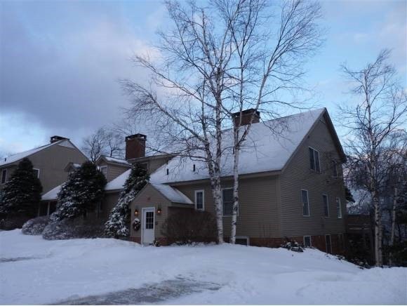 H1 Ethan Allen Trail unit H1, Peru, VT 05152 - photo 1