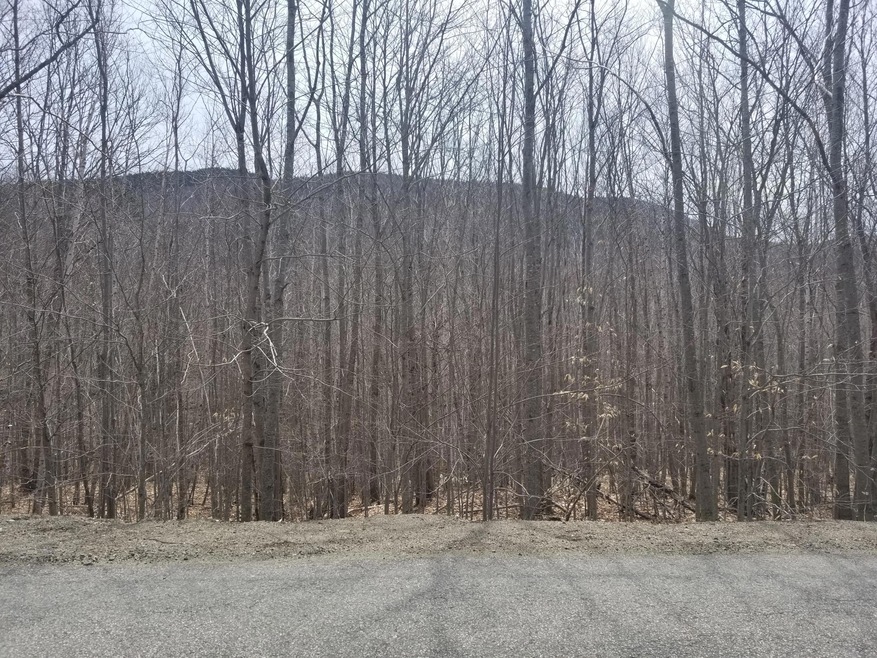 0 Gillette Rd unit 1439851, Camden, ME 04847 - photo 1