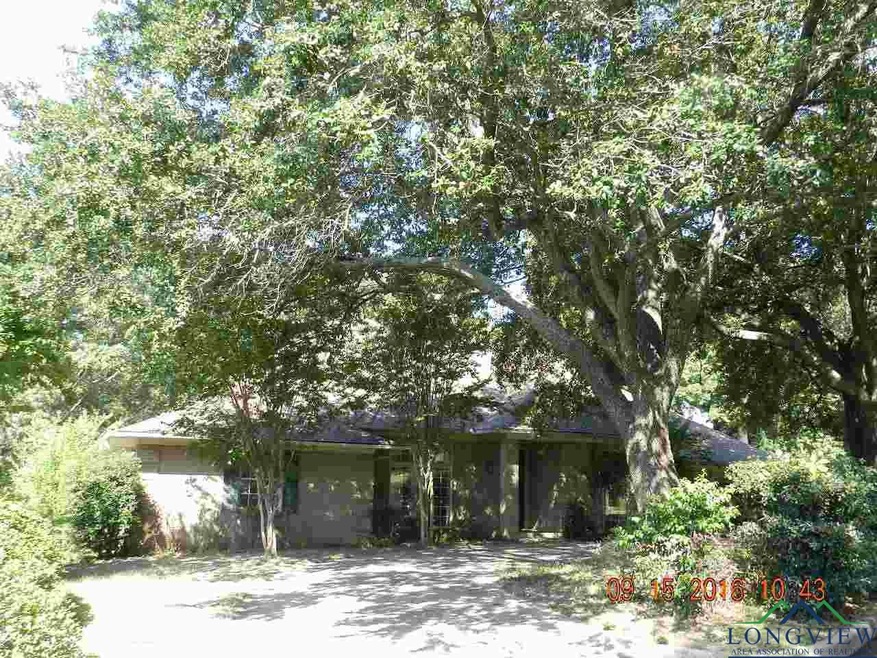 3501 Pat Ln, Tyler, TX 75701 - photo 1