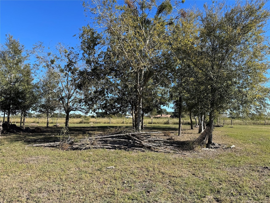 LOT 13 Mesquite Rd, Wallis, TX 77485 - photo 1