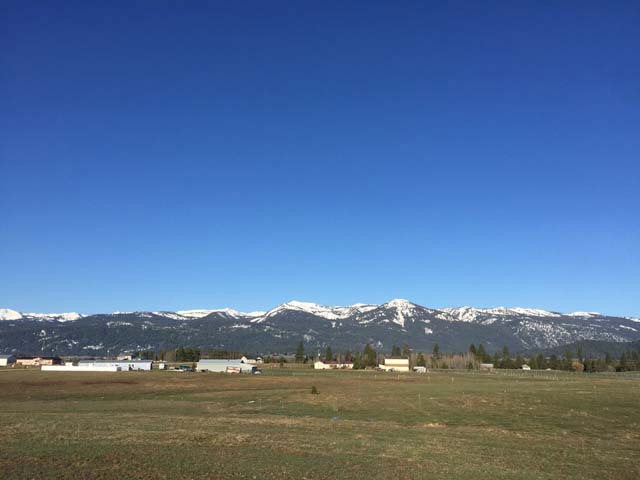 Main View