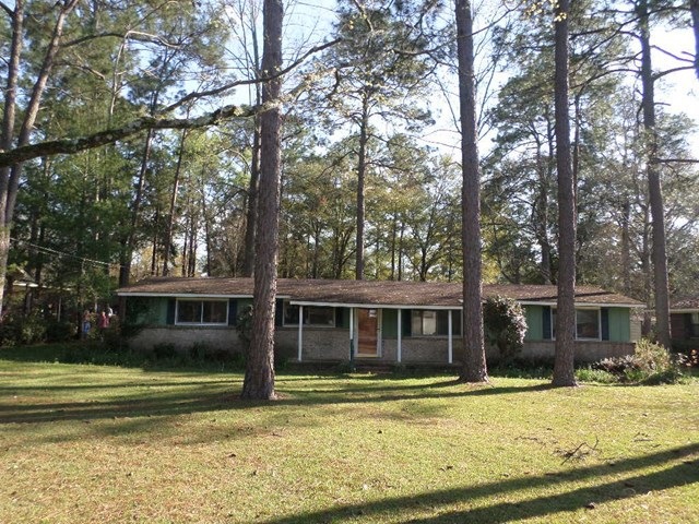 Main View