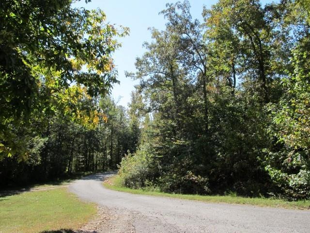 0 Southernaire Resort Rd, Stewart, TN 37175 - photo 1