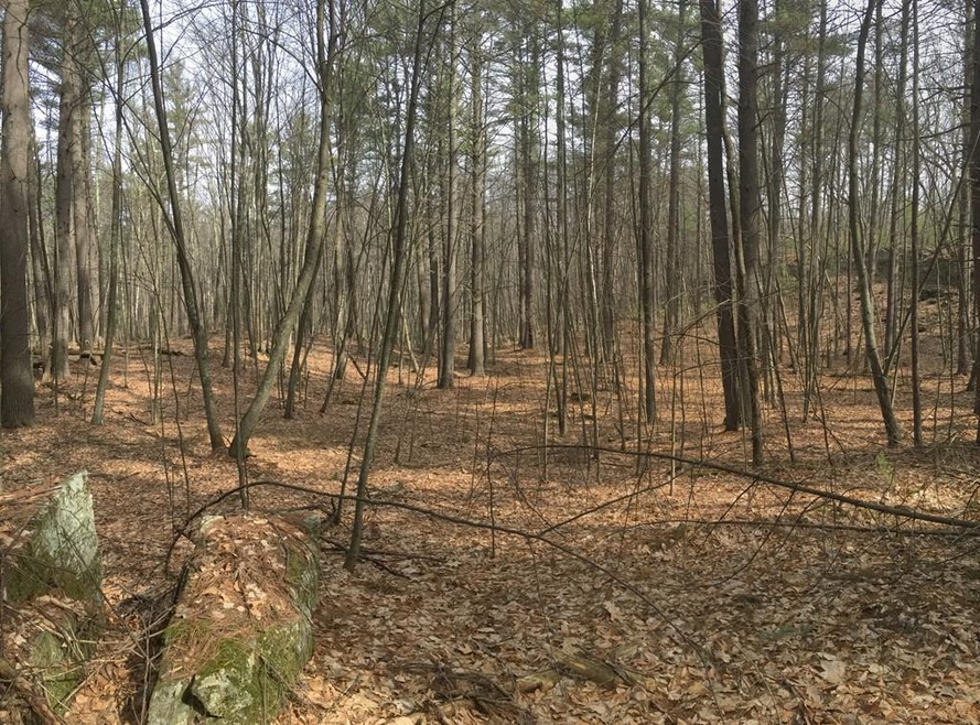 4 Pond St, Dunstable, MA 01827 - photo 1