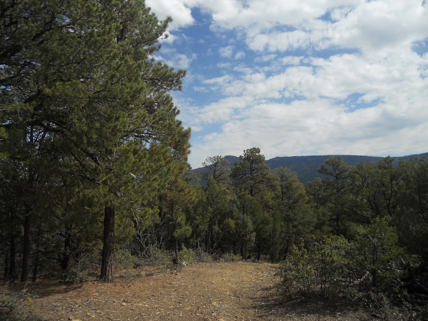 33817 Turkey Creek Ln unit B 67, Trinidad, CO 81082 - photo 1