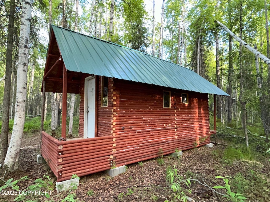 20224 E Twentyinch Ave, Willow, AK 99688 - photo 1