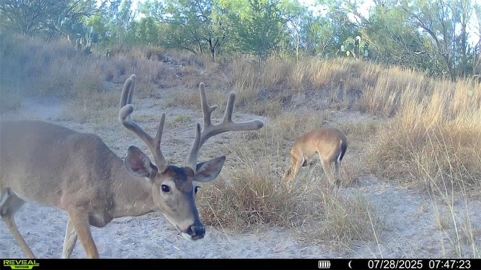 0 Cameron Ln, Fowlerton, TX 78021 - photo 1