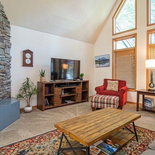 Light Open Vaulted Great Room
