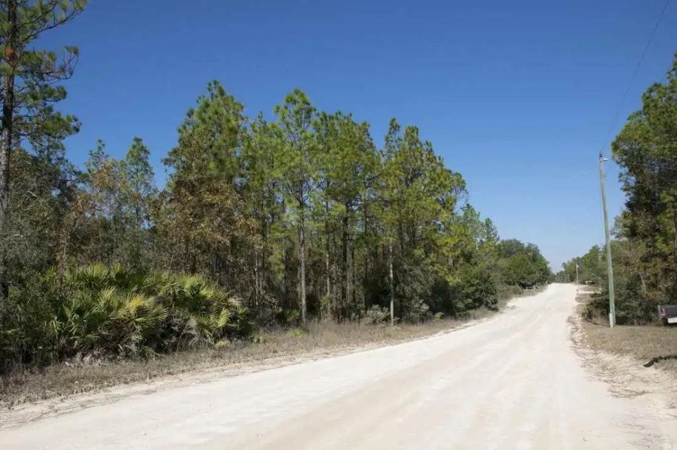 0 Royal Oak Dr unit 319399, Perry, FL 32348 - photo 1