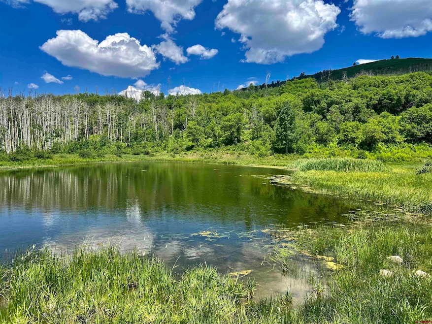 Sold $800,000 • Co-Listing Agent