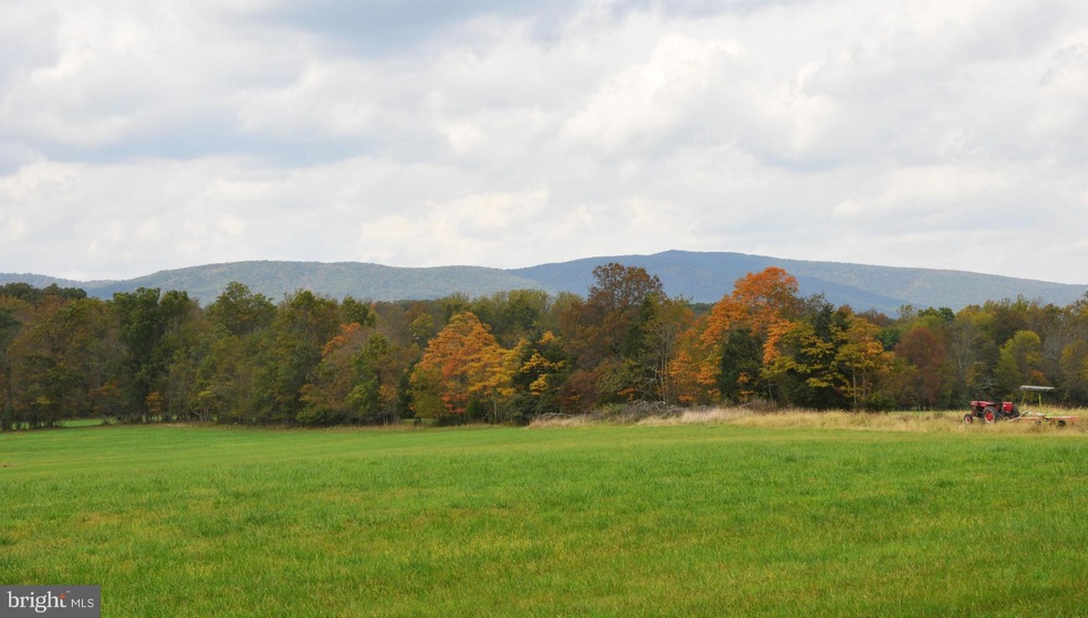 0 McCubbins Hollow Rd unit 1000569459, Glengary, WV 25421 - photo 1