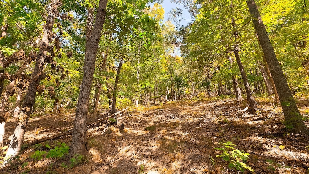 16932 State Route 335, Beaver, OH 45613 - photo 1