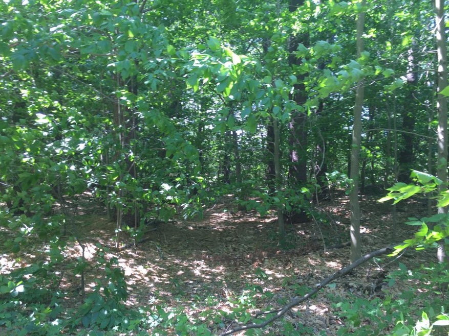 Lot 32-128 Saltbox Rd, Milton, NH 03851 - photo 1