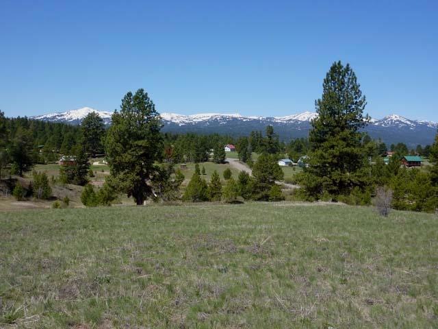 4 Deer Run Rd unit 1, Cascade, ID 83611 - photo 1
