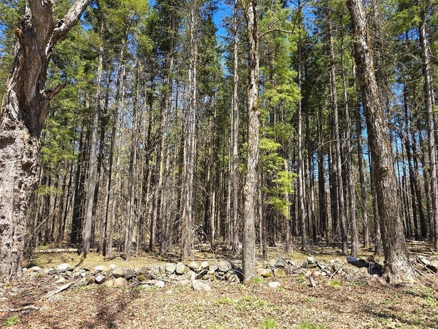 0 Yale Rd unit 73227296, Cummington, MA 01026 - photo 1