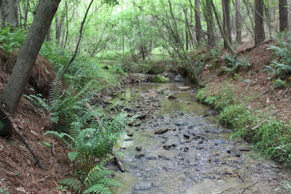 0 Strawberry Rd unit 69143, Chatham, VA 24531 - photo 1
