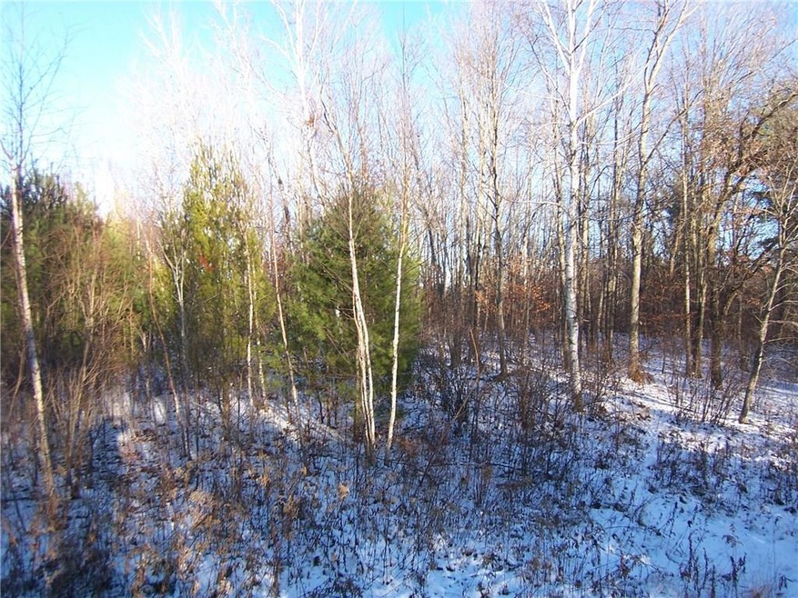 0 (Lot 8) Deer Stand Trail, Webster, WI 54893 - photo 1
