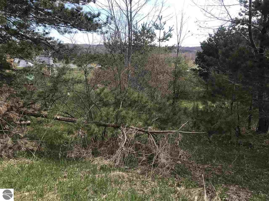 0 S Orchard Way unit 38, Elmwood Charter Township, MI 49684 - photo 1