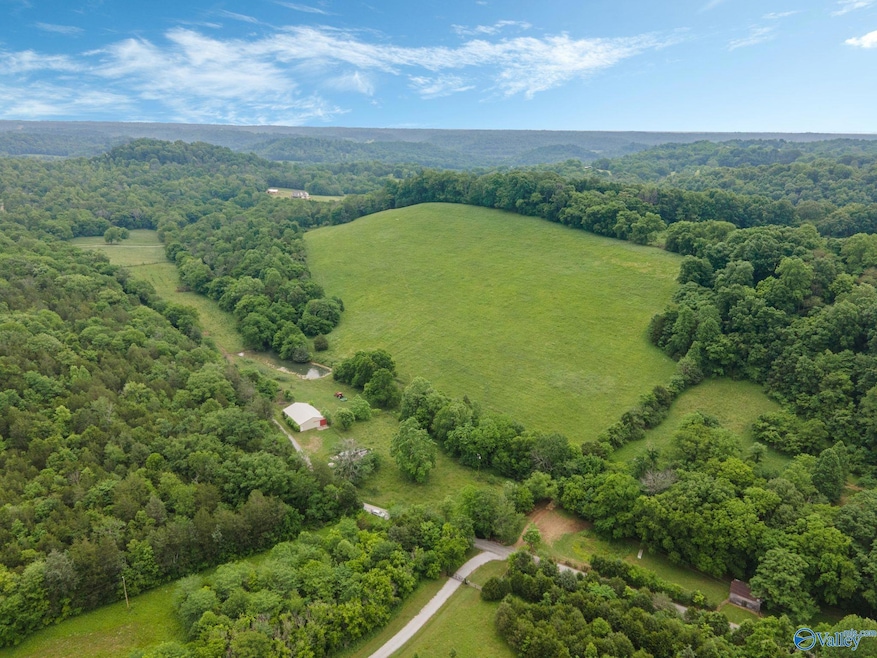 305 Ingram Rd, Pulaski, TN 38478 - photo 1