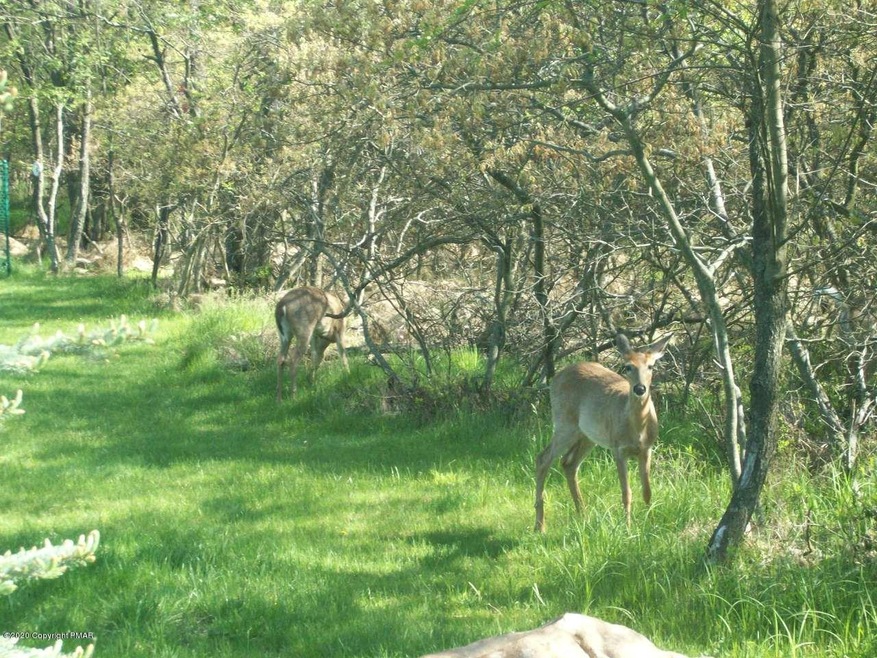 Lot 49 Forest Hill Dr, Blakeslee, PA 18610 - photo 1