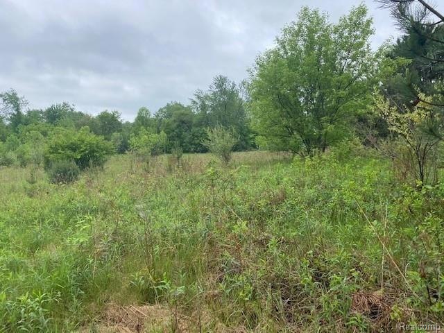 1 N Lewis Rd, Clio, MI 48420 - photo 1