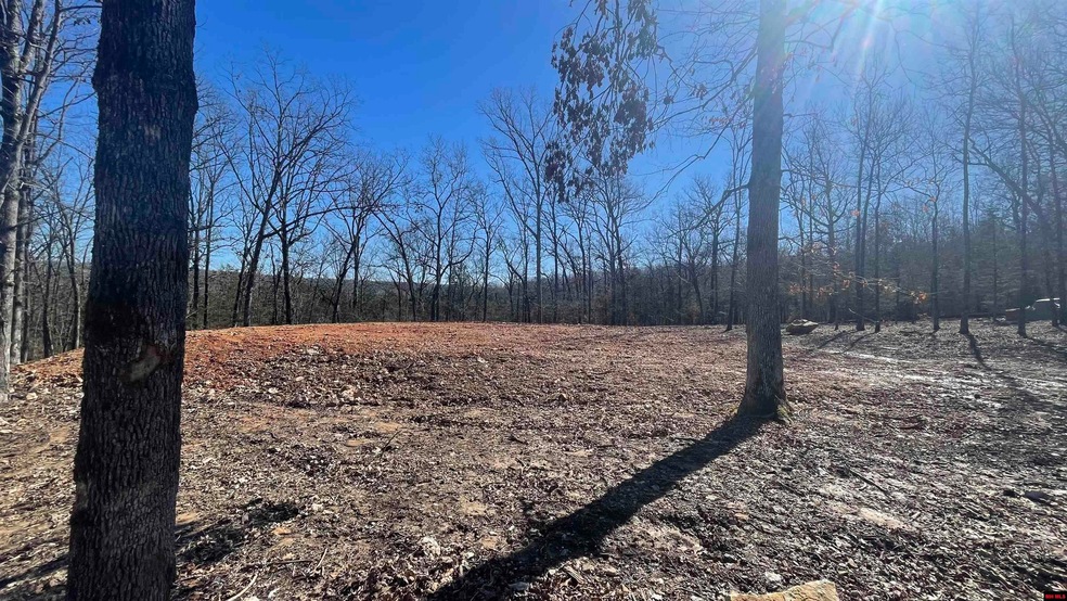 343 Marion County 7002, Flippin, AR 72634 - photo 1