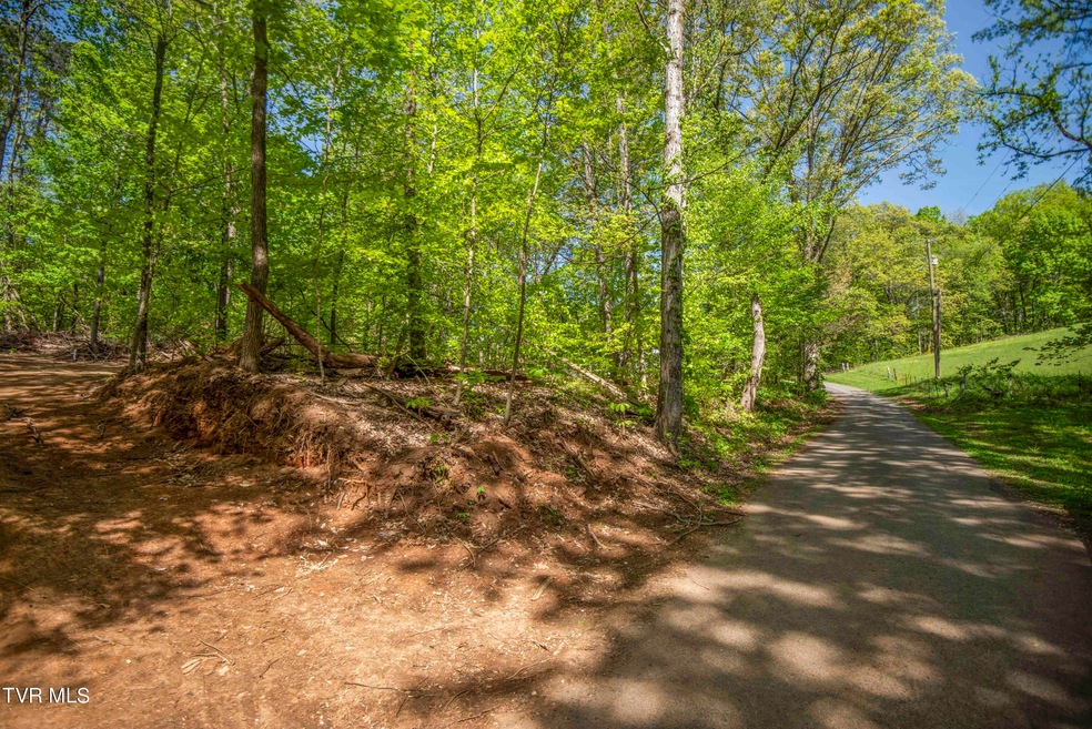 Tbd Dunville Gap Rd, Rutledge, TN 37861 - photo 1