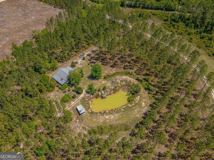 88 Minnesota Rd, Screven, GA 31560 - photo 1