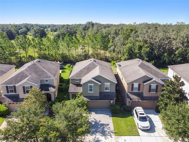 16119 Starling Crossing Dr, Lithia, FL 33547 - photo 1