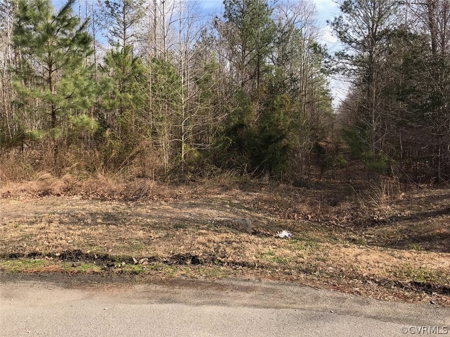 0 Deep Creek Dr unit 1809567, Amelia, VA 23002 - photo 1