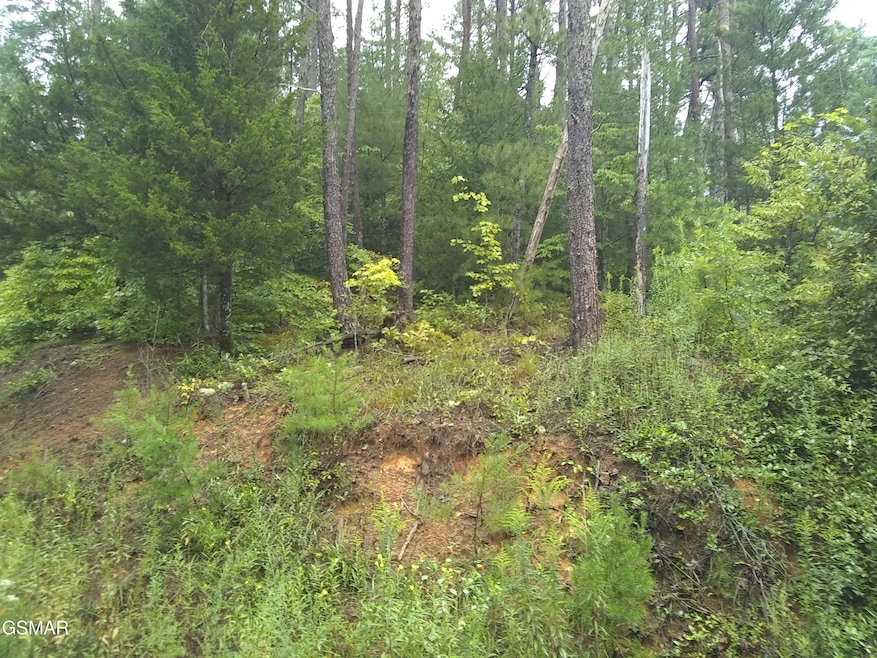 23 Walden Ridge Rd, Sevierville, TN 37862 - photo 1