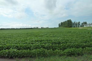 Sold • Co-Listing Agent