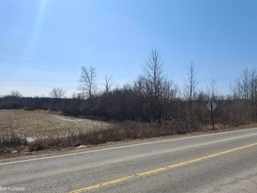 00 Yale Rd, Yale, MI 48097 - photo 1